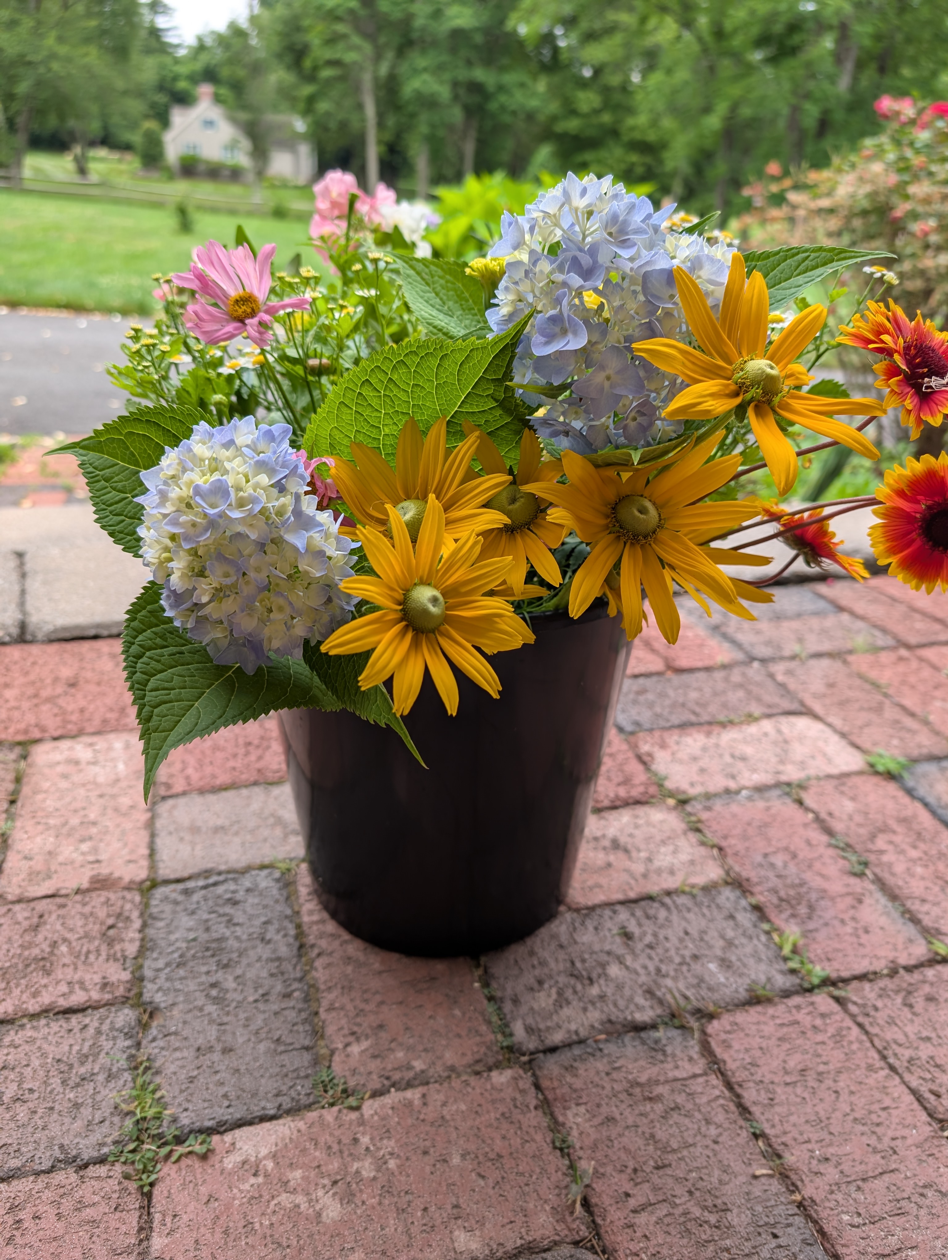 fresh cut flowers 2